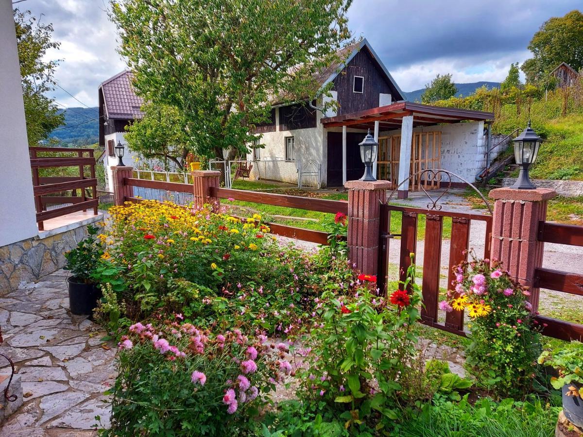 Peter'S Pine Cottage 科雷尼察 外观 照片